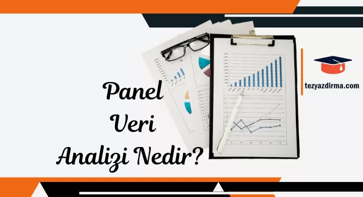 Panel Veri Analizi Nedir