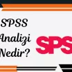 SPSS Analizi Nedir?