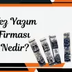 Tez Yazım Firması Nedir?